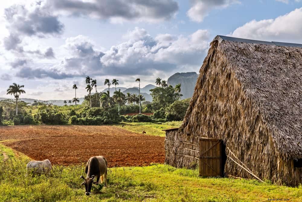 Les 20 plus beaux sites à découvrir à Cuba