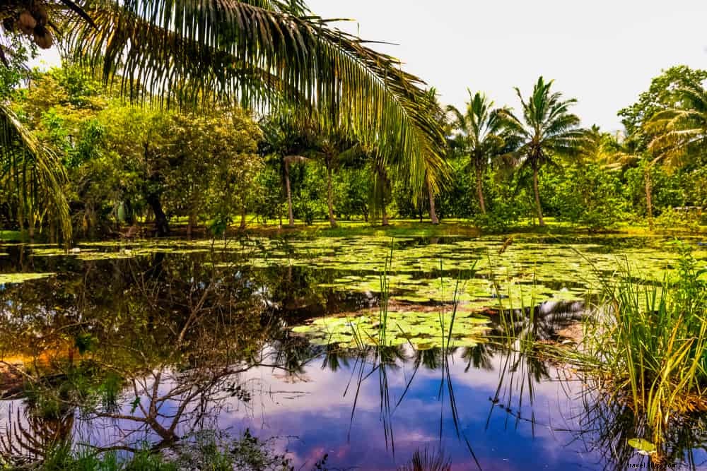 Les 20 plus beaux sites à découvrir à Cuba