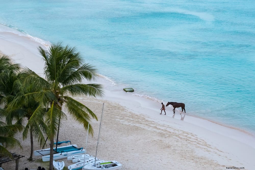 Les 15 plus belles plages de la Barbade