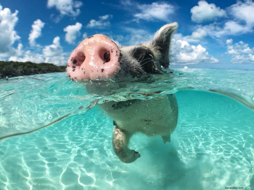 Les 15 plus beaux sites à découvrir aux Bahamas