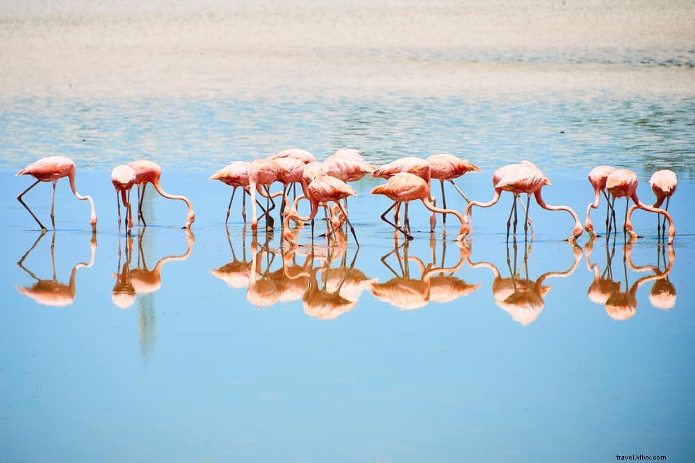 Les 15 plus beaux sites à découvrir aux Bahamas