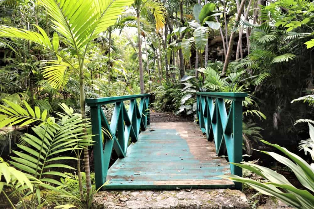 Les 15 plus beaux sites à découvrir aux Bahamas