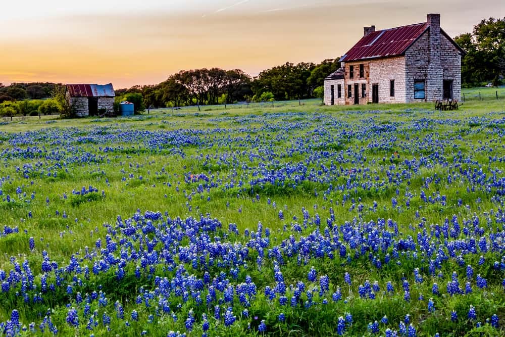 Les 26 meilleurs endroits à visiter aux États-Unis en avril