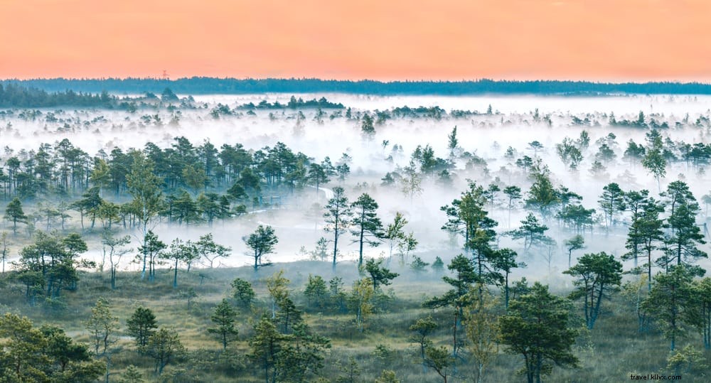 12 des plus beaux sites à découvrir en Lettonie