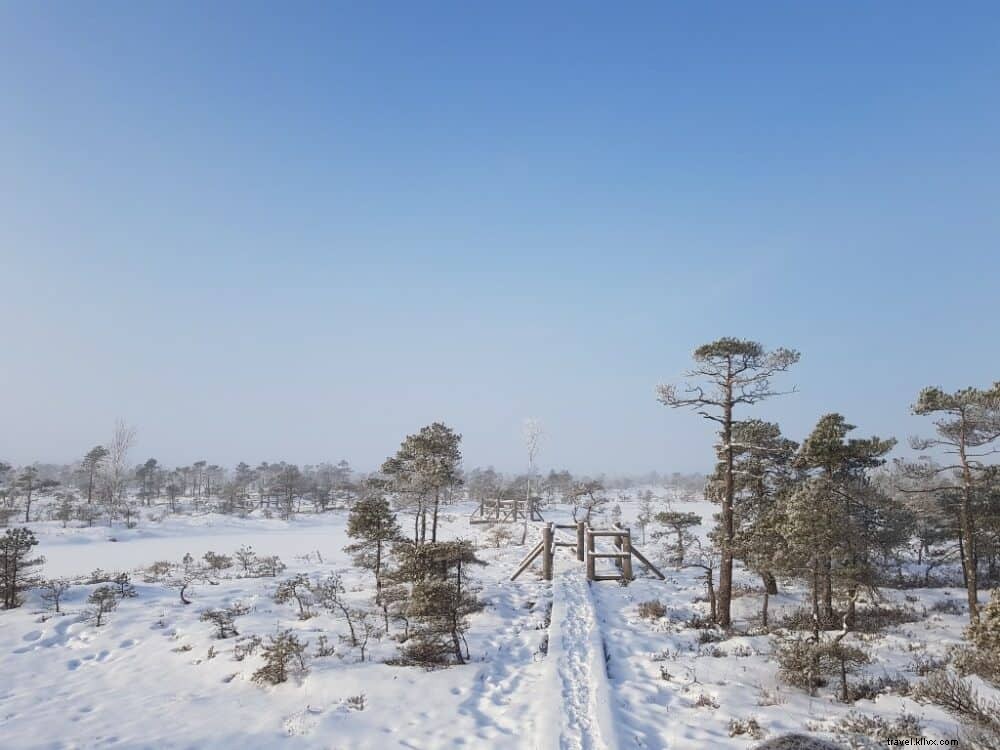 12 des plus beaux sites à découvrir en Lettonie
