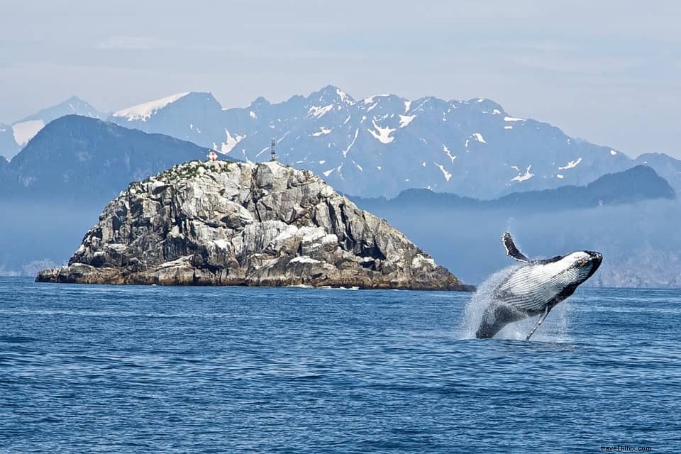 26 des plus beaux endroits à visiter aux États‑Unis