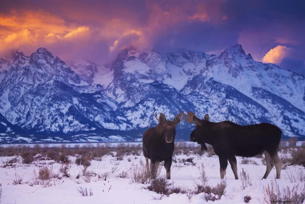 Les 24 meilleures destinations à visiter aux États-Unis en décembre