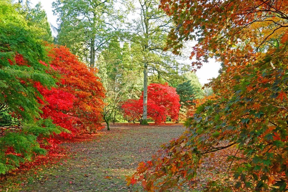 19 lieux magnifiques à découvrir dans les Cotswolds