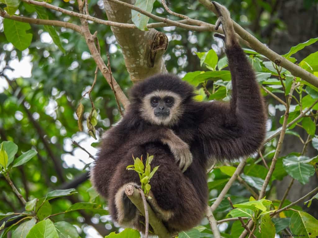 20 des plus beaux sites à découvrir au Laos