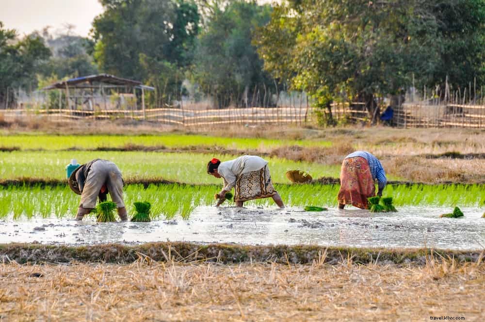 20 des plus beaux sites à découvrir au Laos