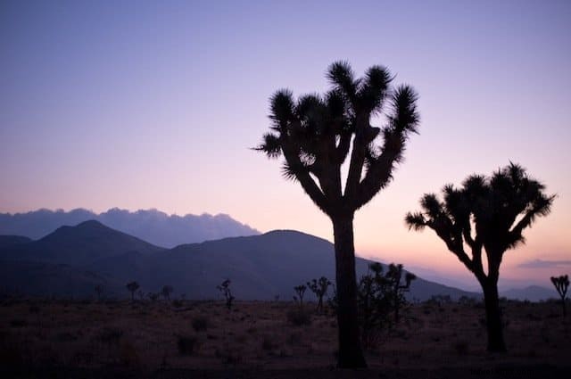 Les 20 plus beaux parcs nationaux d Amérique du Nord