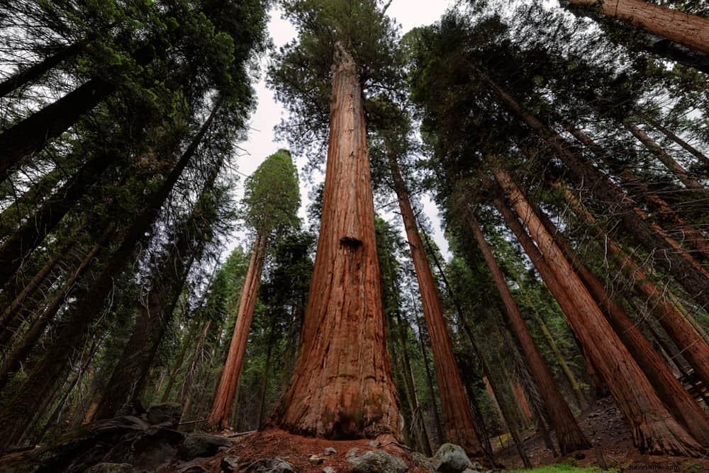 Les 20 plus beaux parcs nationaux d Amérique du Nord