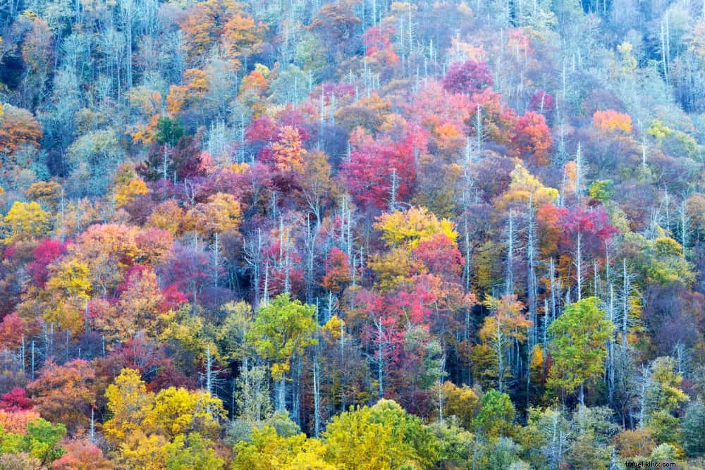 Les 15 plus beaux sites à visiter dans le Tennessee