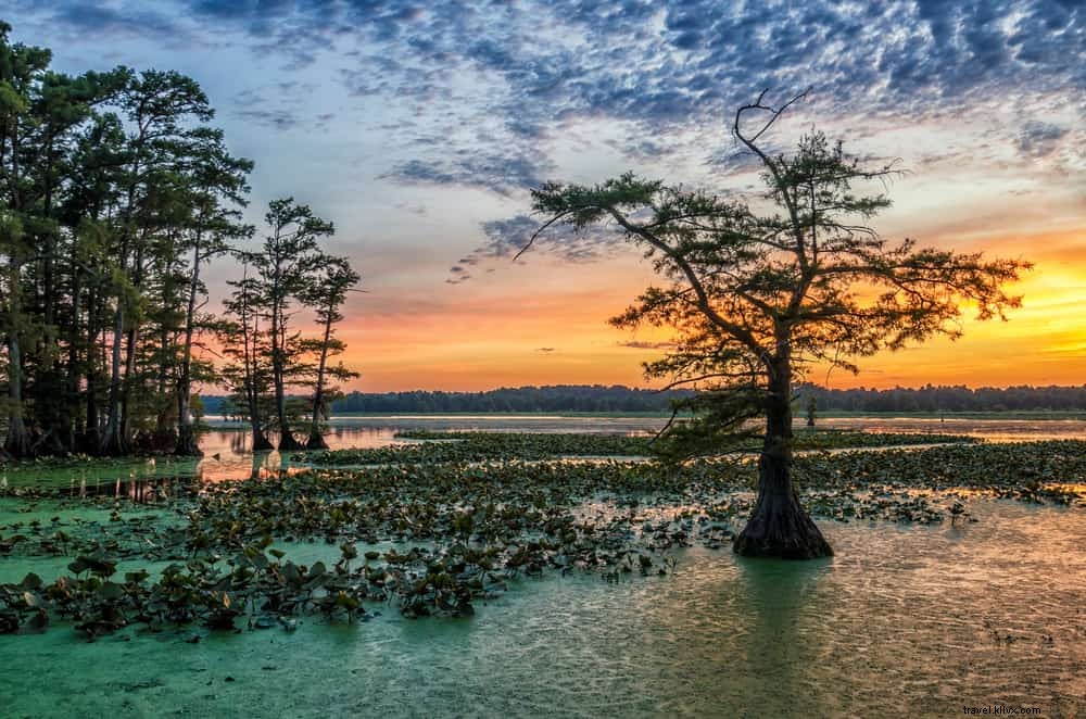 Les 15 plus beaux sites à visiter dans le Tennessee