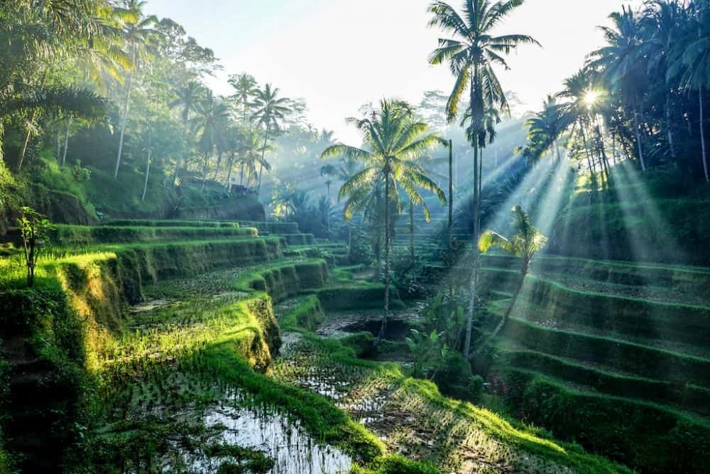 Top 20 des plus beaux endroits à visiter à Bali
