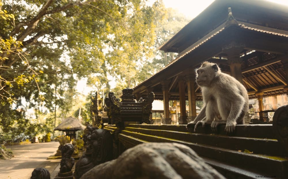 Top 20 des plus beaux endroits à visiter à Bali