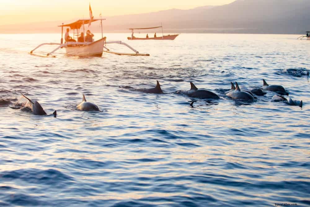 Top 20 des plus beaux endroits à visiter à Bali