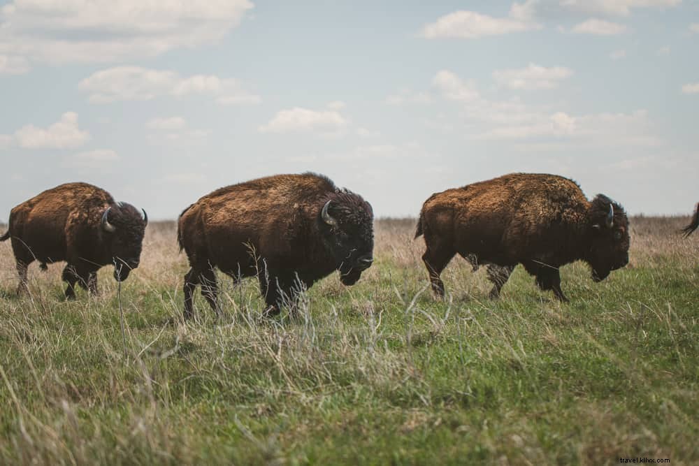 Les 17 plus beaux lieux à visiter en Oklahoma