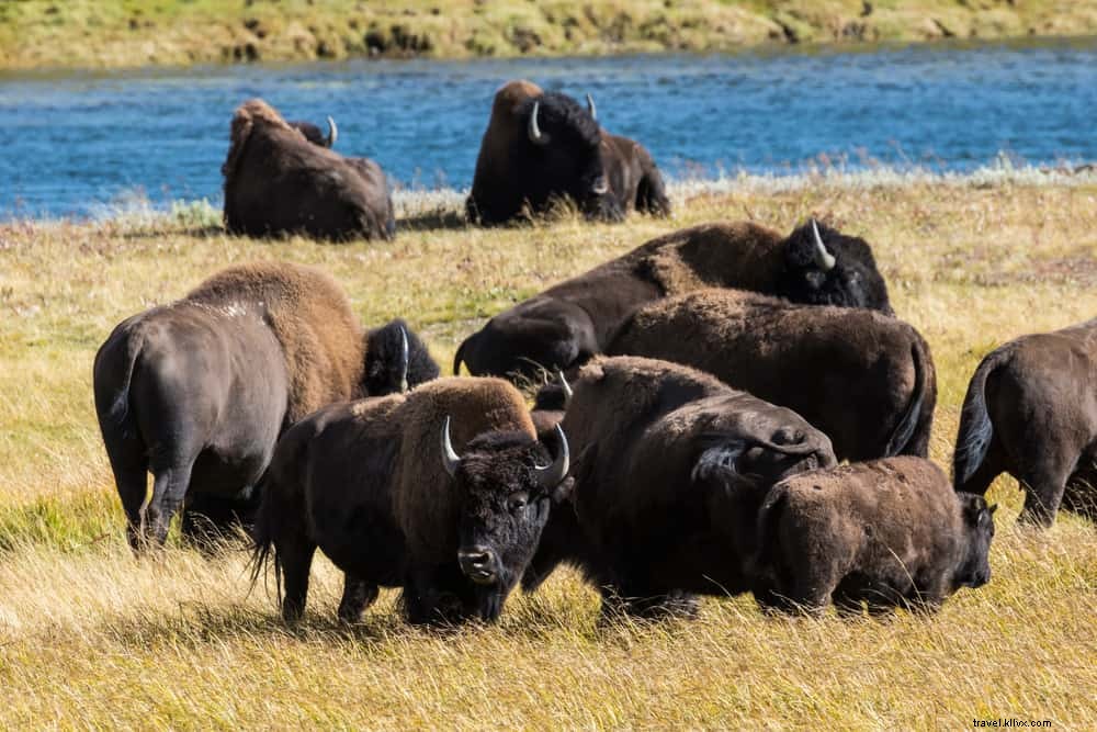 18 des plus beaux sites à découvrir dans le Wyoming