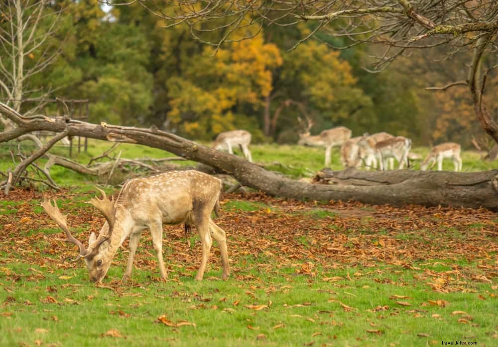 Les 17 meilleurs sites à découvrir dans le Shropshire
