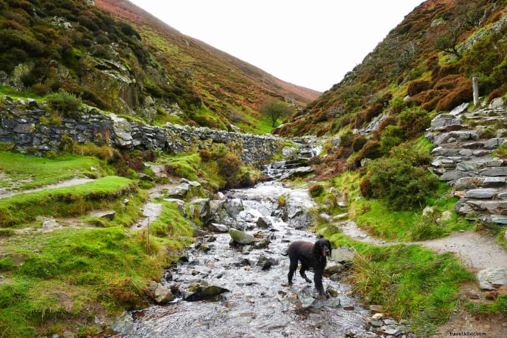 Les 17 meilleurs sites à découvrir dans le Shropshire