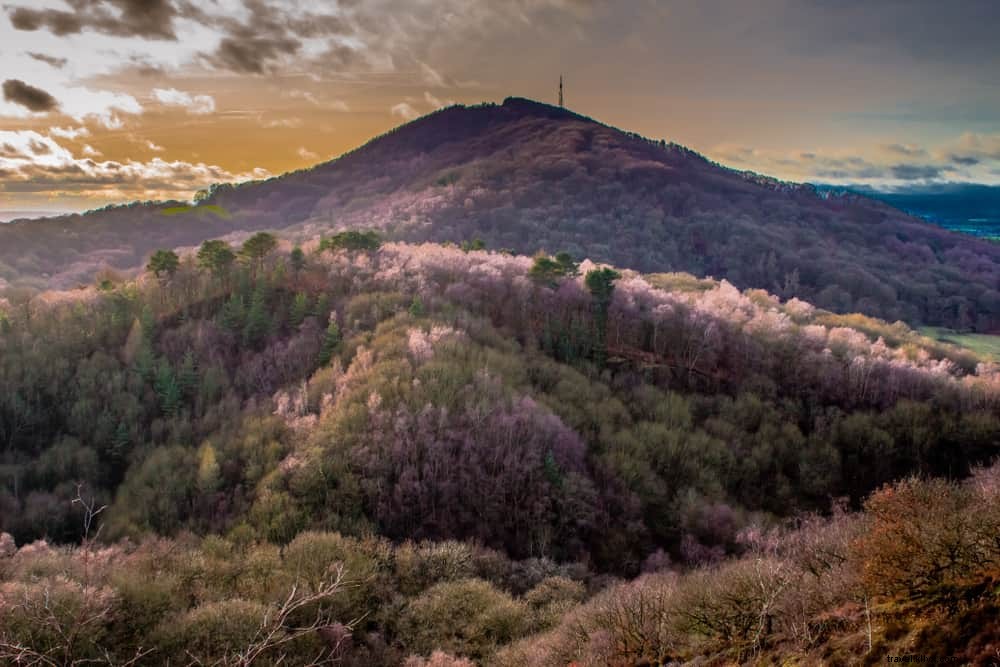 Les 17 meilleurs sites à découvrir dans le Shropshire