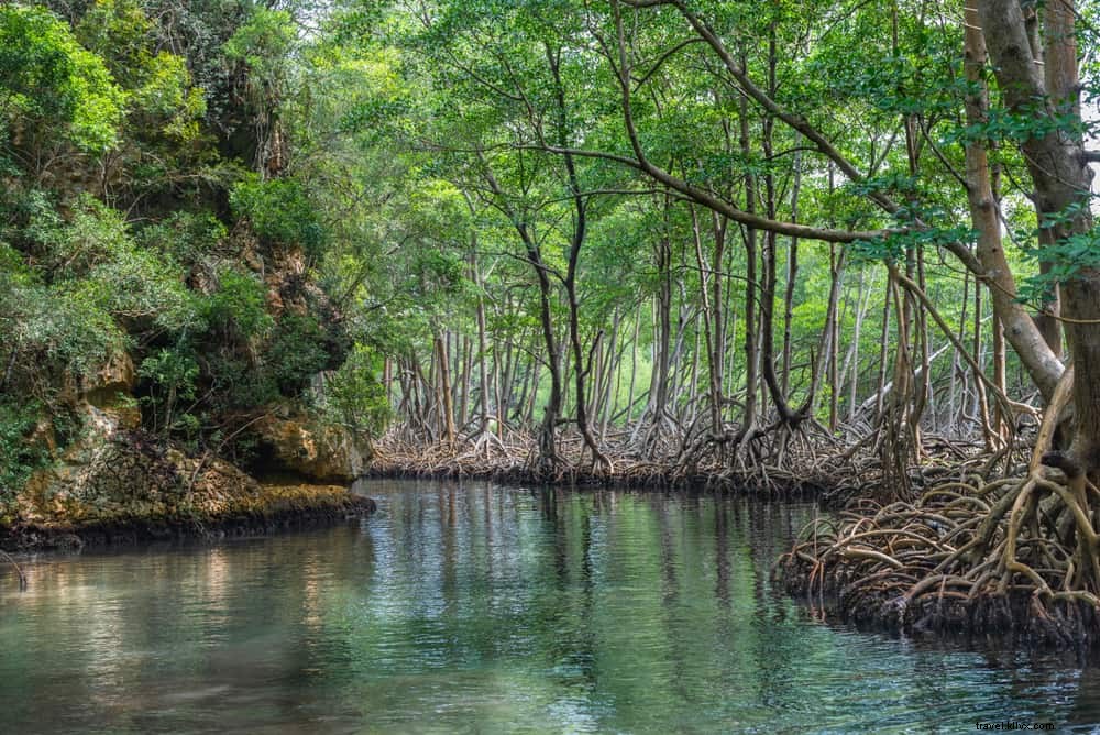 20 magnifiques lieux à visiter en République dominicaine