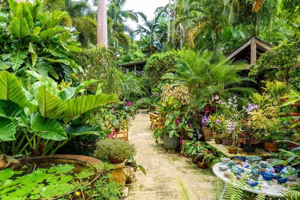 Les 12 plus beaux sites à découvrir à la Barbade