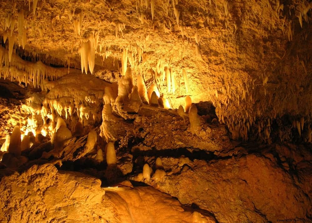 Les 12 plus beaux sites à découvrir à la Barbade