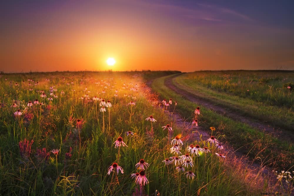Les 21 plus beaux sites à découvrir dans le Missouri