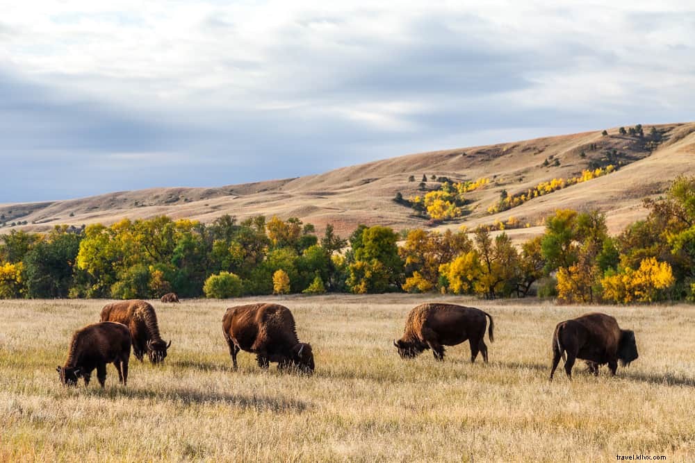 Les 21 plus beaux sites à découvrir dans le Missouri