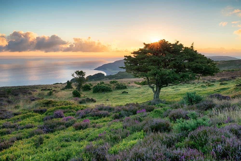 15 des plus beaux sites à découvrir dans le Somerset