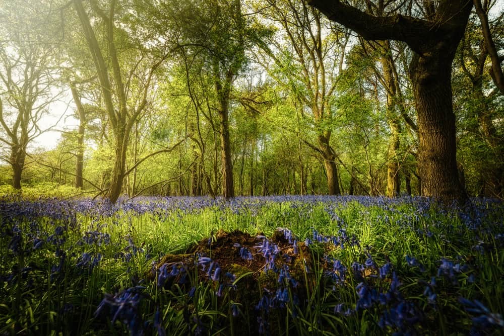 15 magnifiques lieux à découvrir dans le Warwickshire