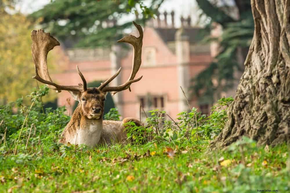 15 magnifiques lieux à découvrir dans le Warwickshire