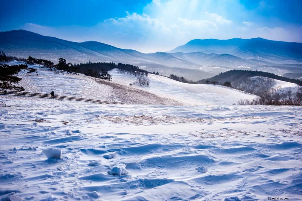 Top 15 des lieux incontournables en Corée du Sud
