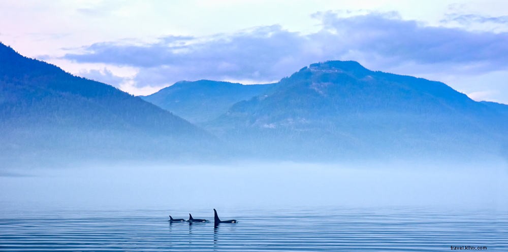 Les 25 plus beaux sites à découvrir au Canada