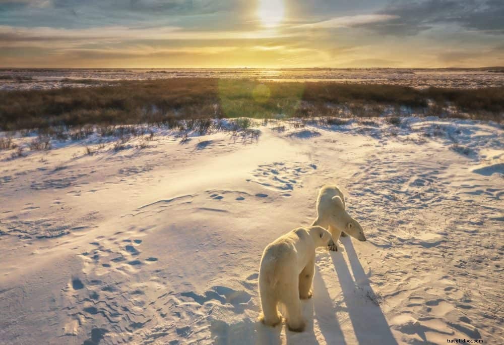 Les 25 plus beaux sites à découvrir au Canada