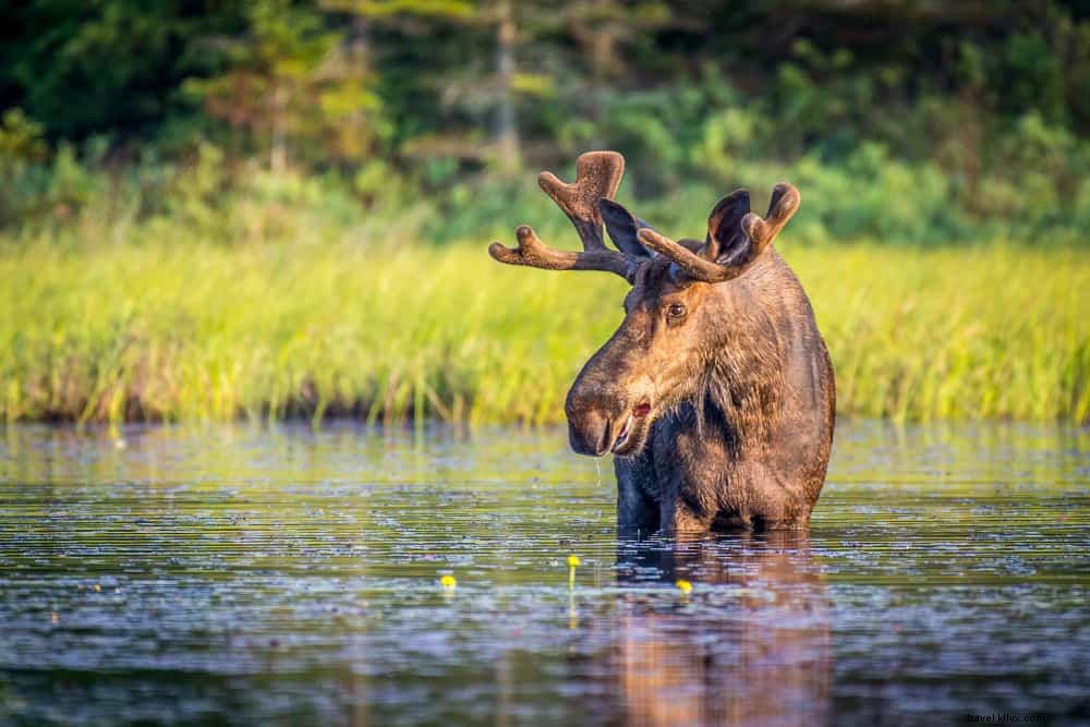 Les 25 plus beaux sites à découvrir au Canada