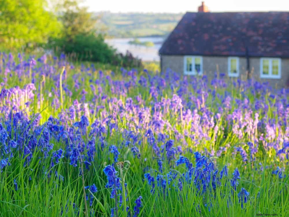 Les 15 plus beaux sites à découvrir dans le Herefordshire