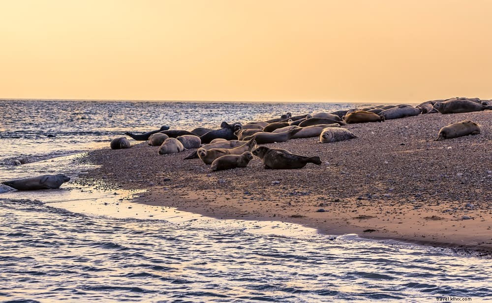 15 des plus beaux endroits à visiter dans le Norfolk