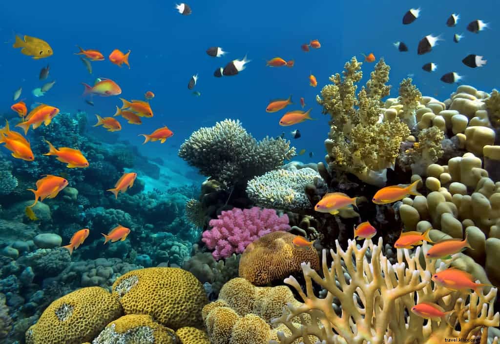 20 des plus beaux lieux à visiter en Égypte