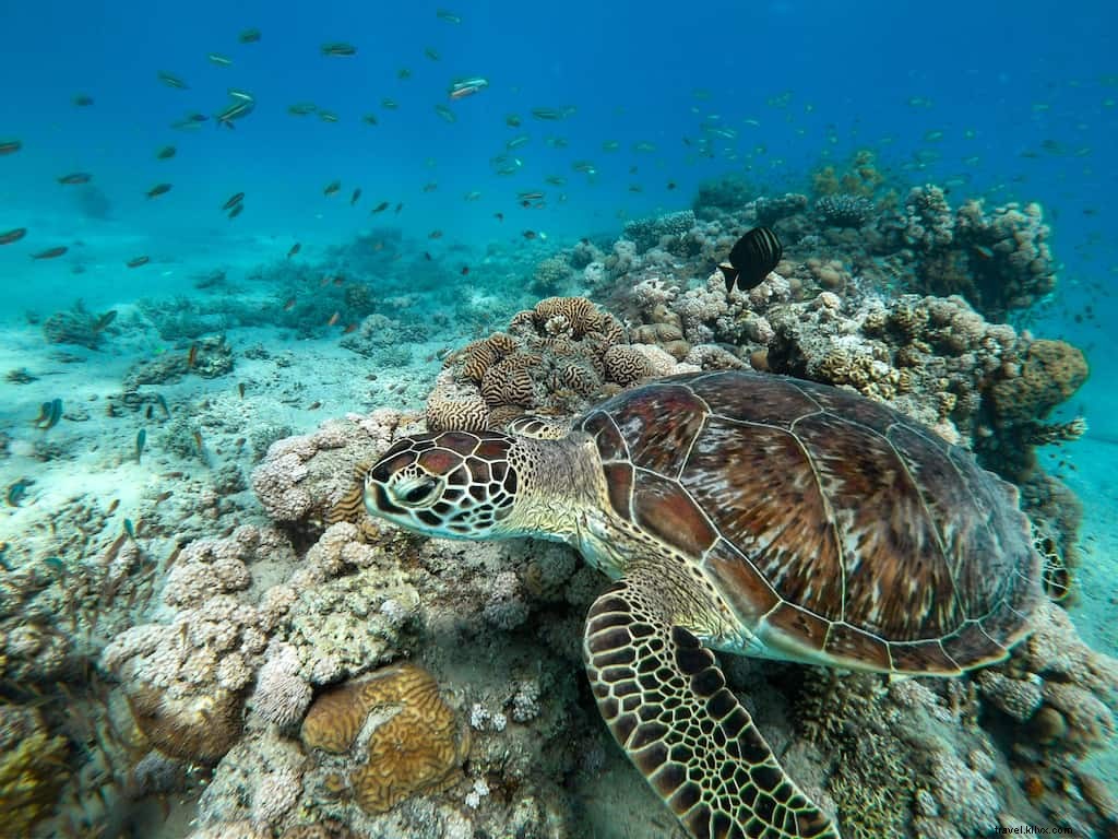 20 des plus beaux lieux à visiter en Égypte