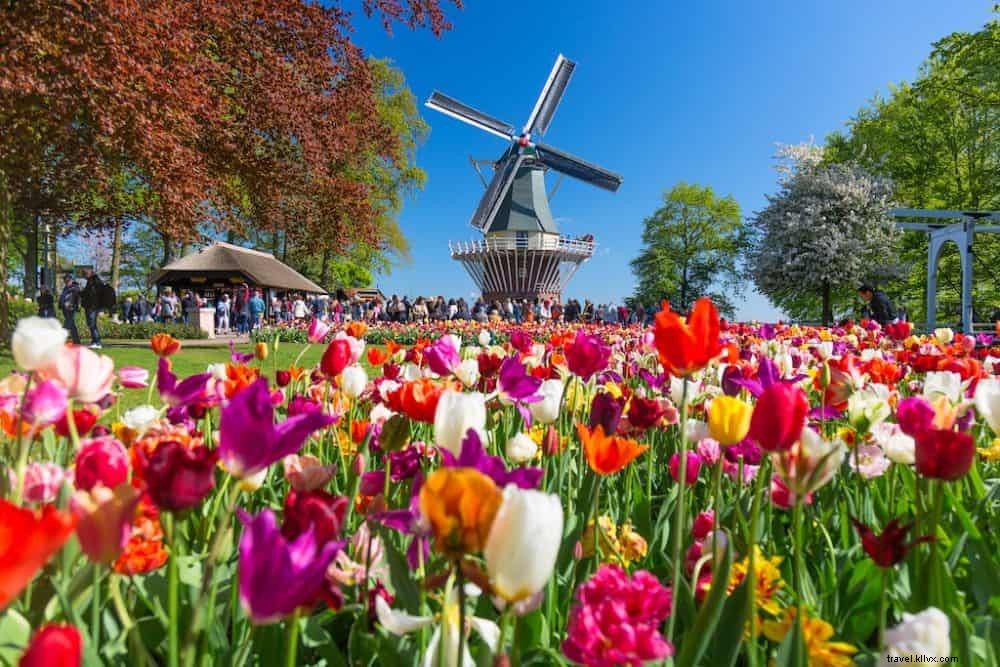 20 beaux endroits à visiter aux Pays‑bas