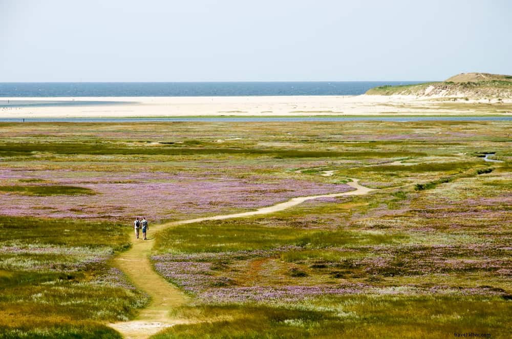 20 beaux endroits à visiter aux Pays‑bas