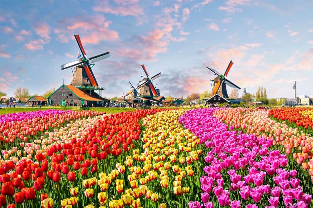 20 beaux endroits à visiter aux Pays‑bas