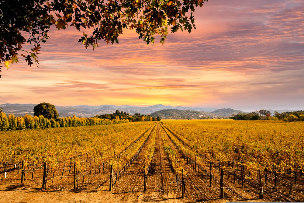 Les 21 plus beaux sites à découvrir en Californie