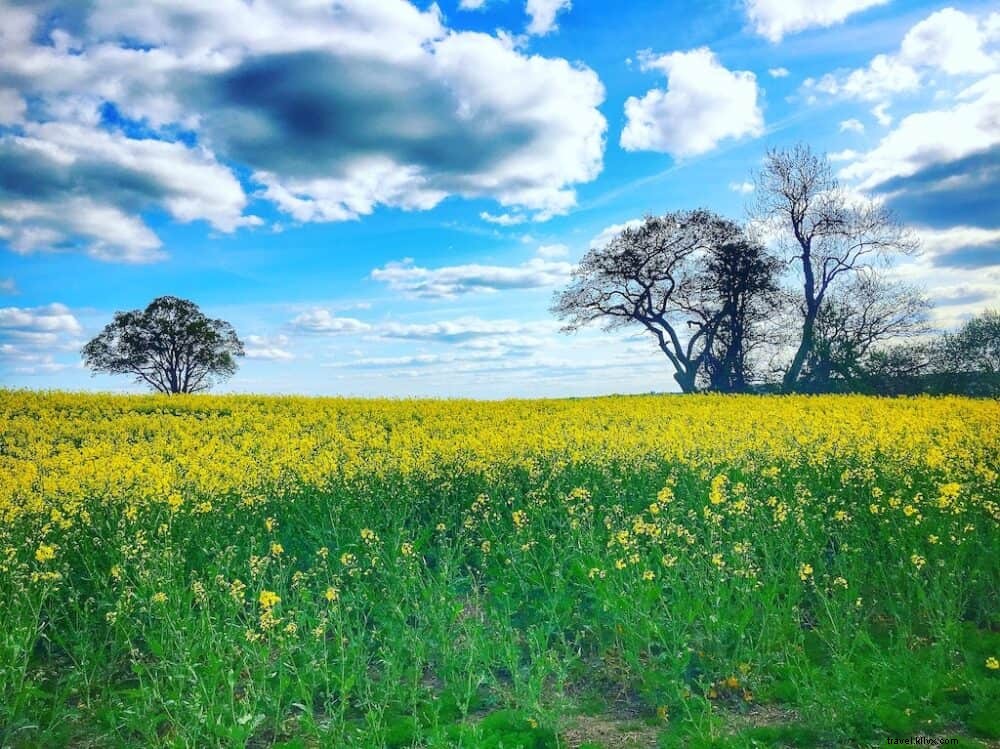 Top 21 des plus beaux endroits à visiter dans le Buckinghamshire