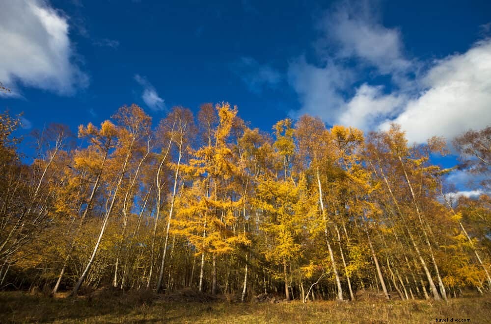 Top 21 des plus beaux endroits à visiter dans le Buckinghamshire