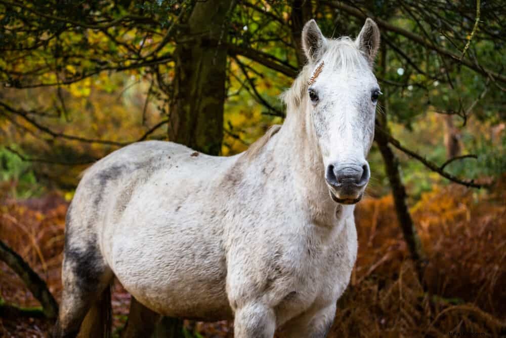 20 lieux incontournables à visiter au Royaume-Uni à l automne