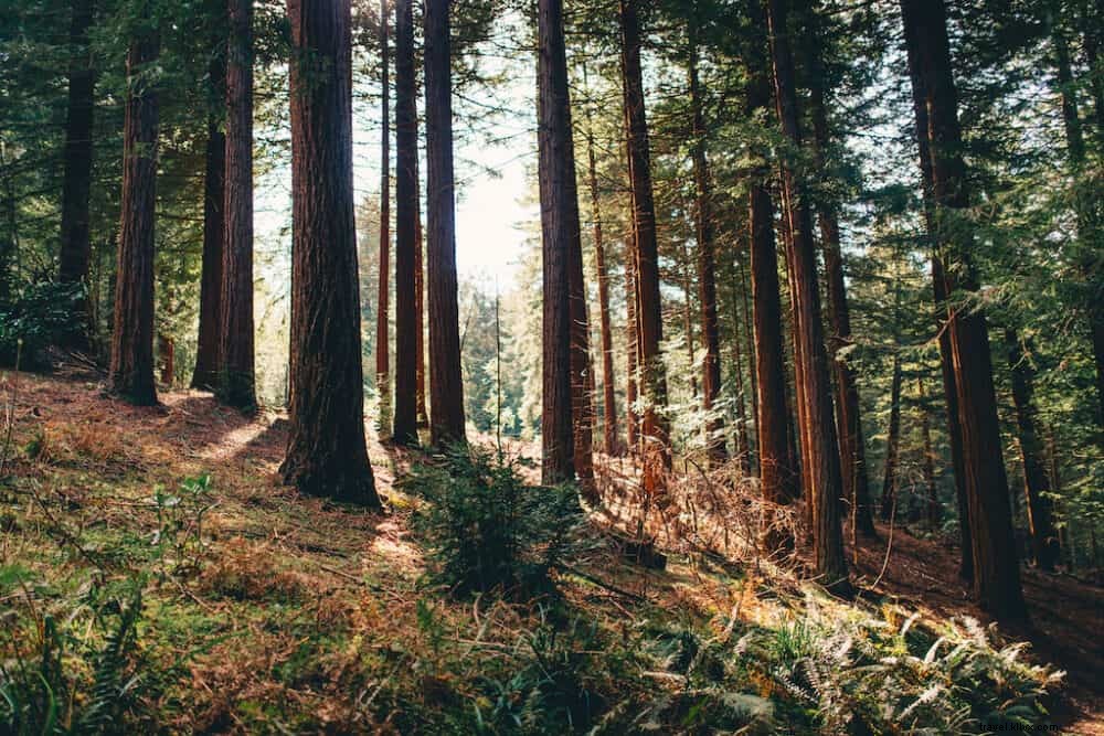 20 lieux incontournables à visiter au Royaume-Uni à l automne